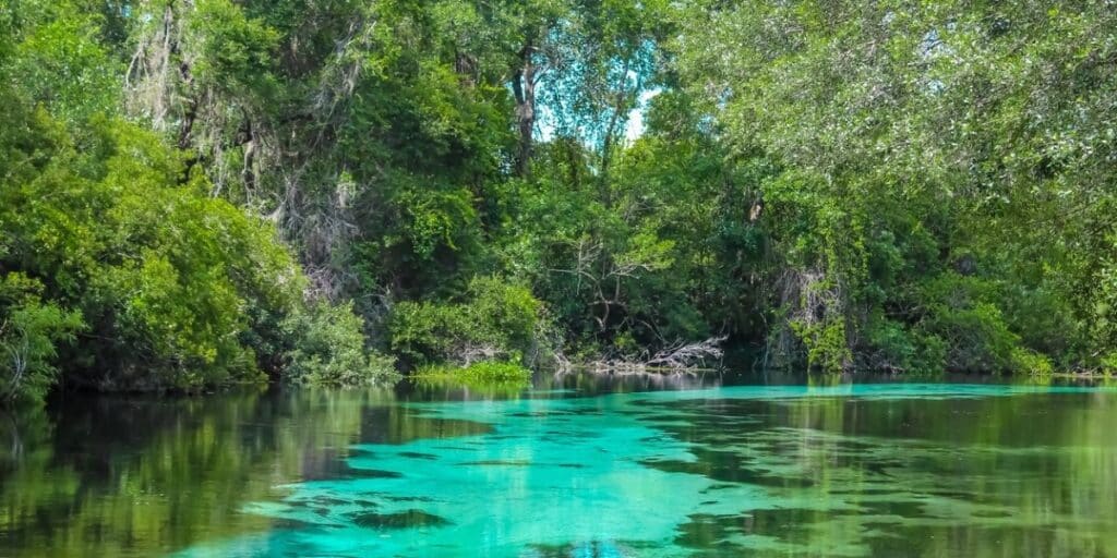 Dunnellon FL views