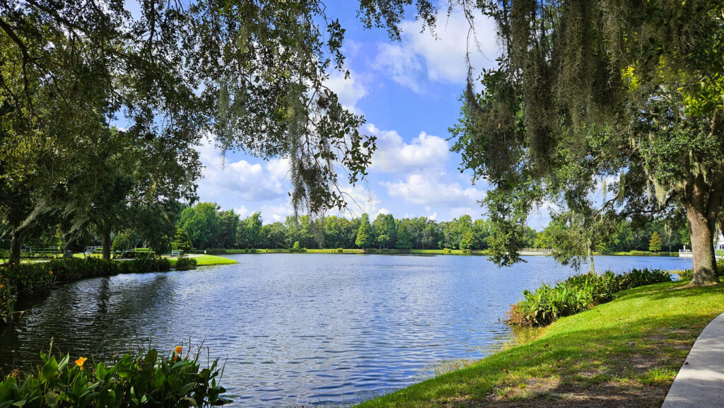 We Buy Houses in Valrico